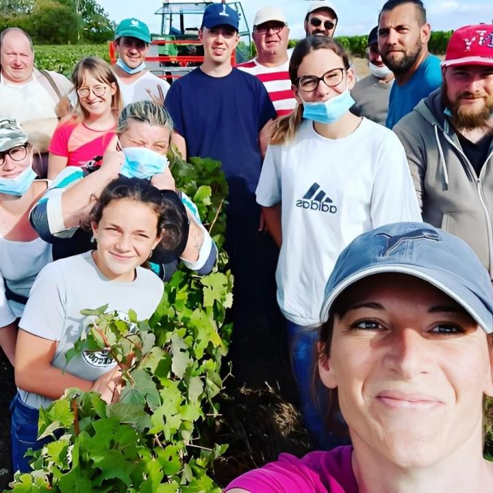 Des passionnés de viticulture à Verneuil