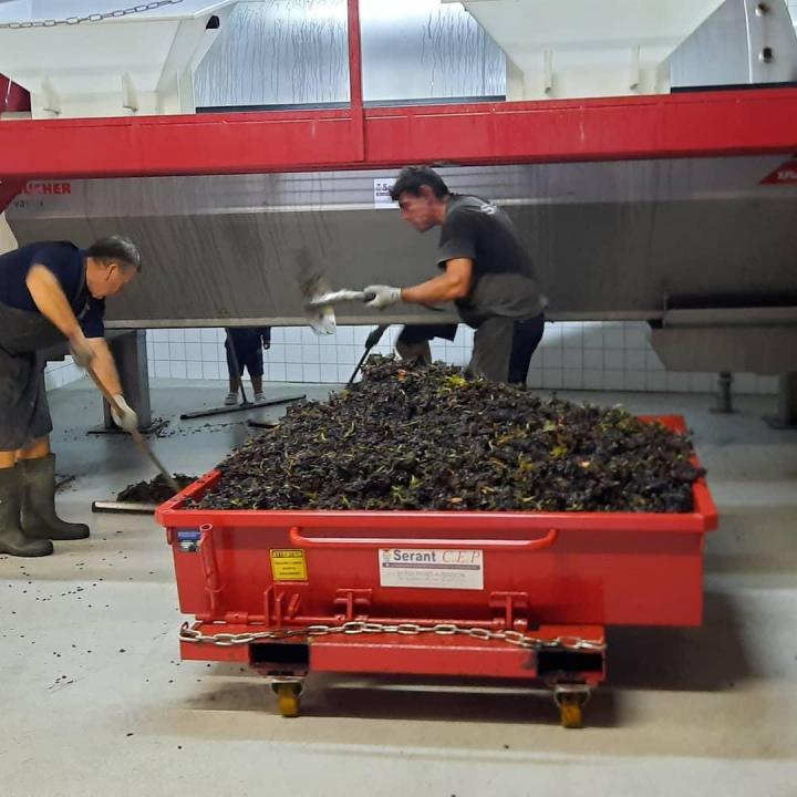 Domaine viticole Verneuil