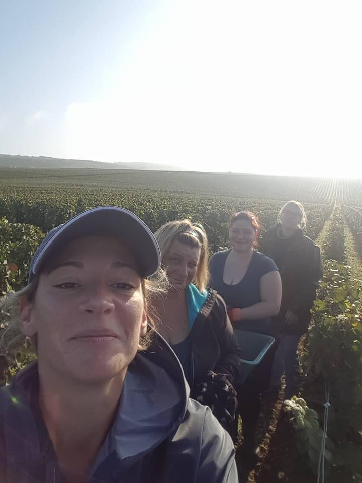 Des passionnés de viticulture à Verneuil 