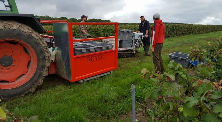 Viticulteur Verneuil