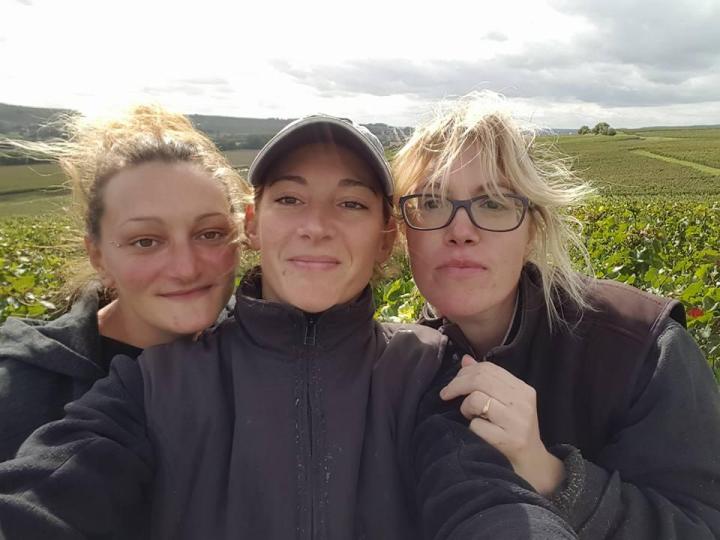 Des passionnés de viticulture à Verneuil 