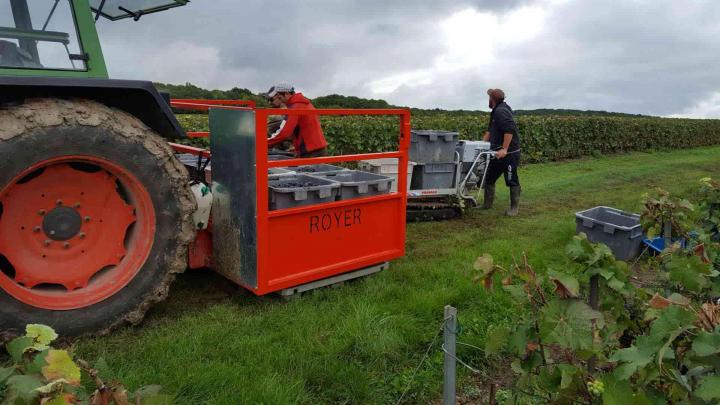 Vignoble Verneuil